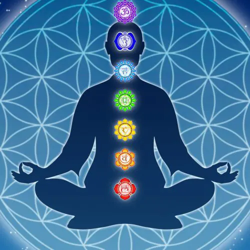 Introduction to Chakras – the Wheels of Life workshop at MAYI Yoga Academy